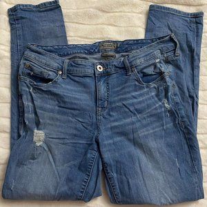 Torrid Jeans